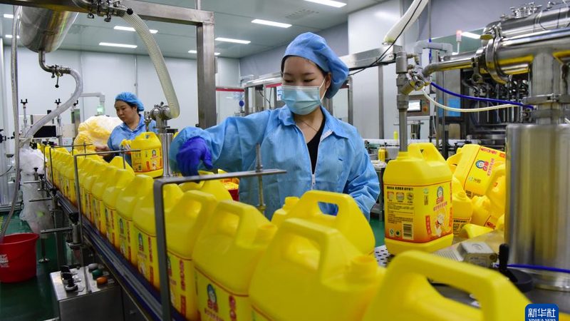 广东新材料公司资质要求解析：合规之路，企业必知