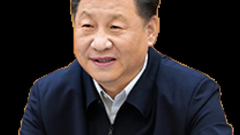 电池材料行业：揭秘龙头公司排名背后的秘密